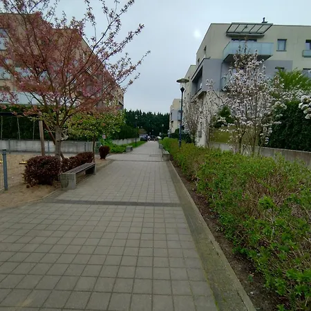 1e Barbakan Szczecin